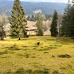 Дом отдыха Ferme Des Jonquilles 15p - Billard, Ps4, Salle De Sport *