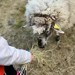 Дом отдыха Ferme Des Jonquilles 15p - Billard, Ps4, Salle De Sport *