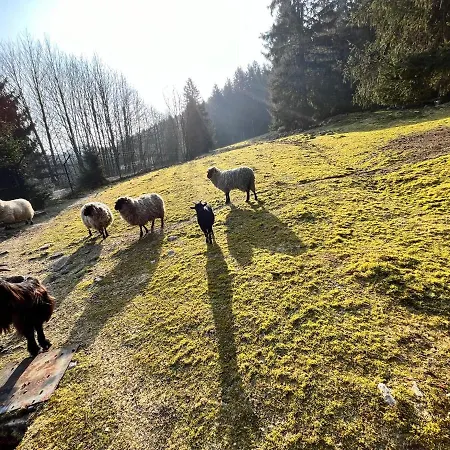 Ferme Des Jonquilles 15p - Billard, Ps4, Salle De Sport Nyaraló Gérardmer