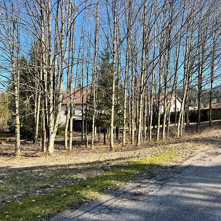 Ferme Des Jonquilles 15p - Billard, Ps4, Salle De Sport בית נופש *