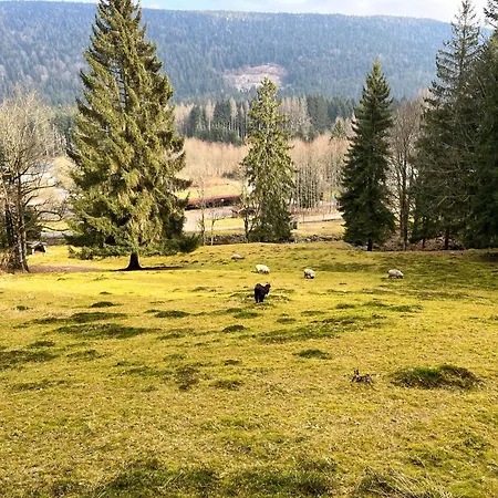 בית נופש Ferme Des Jonquilles 15p - Billard, Ps4, Salle De Sport *