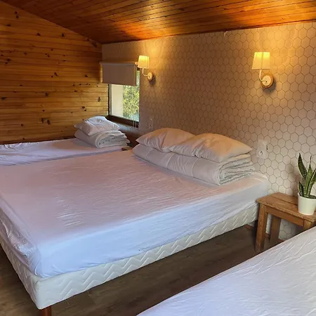 בית נופש Ferme Des Jonquilles 15p - Billard, Ps4, Salle De Sport