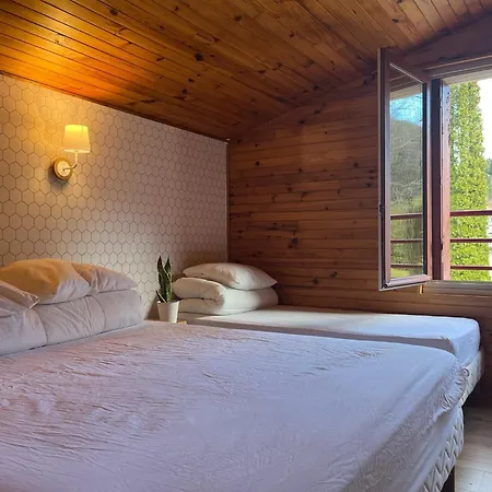 Ferme Des Jonquilles 15p - Billard, Ps4, Salle De Sport Сasa de vacaciones