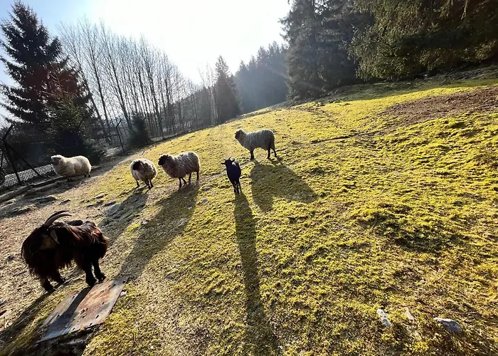 Ferme Des Jonquilles 15p - Billard, Ps4, Salle De Sport 別荘 ジェラールメ