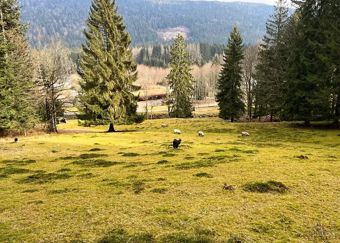 Prázdninový dům Ferme Des Jonquilles 15p - Billard, Ps4, Salle De Sport *