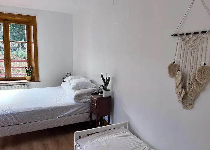 Ferme Des Jonquilles 15p - Billard, Ps4, Salle De Sport Prázdninový dům Gérardmer