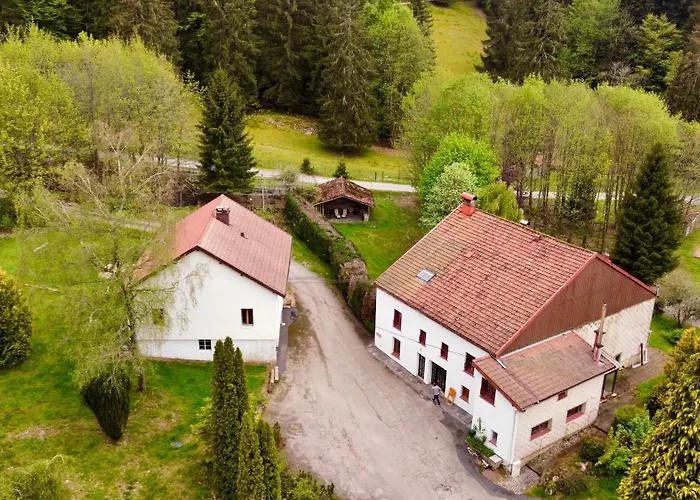 Prázdninový dům Ferme Des Jonquilles 15p - Billard, Ps4, Salle De Sport Gérardmer