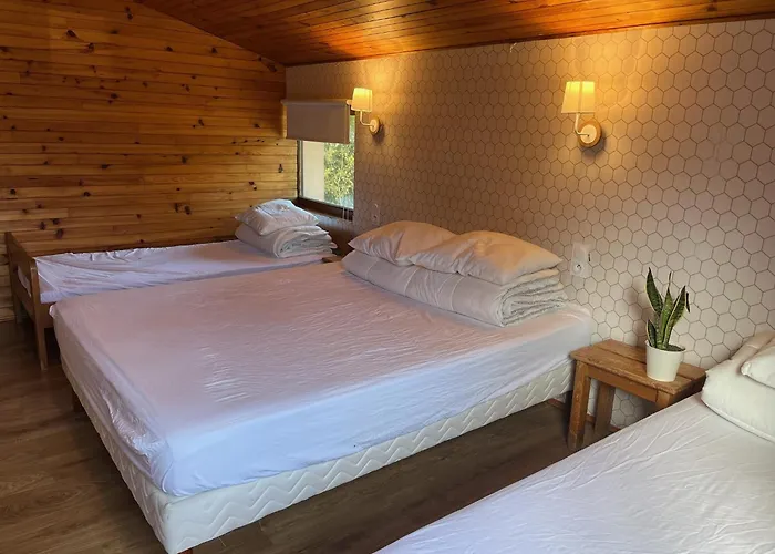 Prázdninový dům Ferme Des Jonquilles 15p - Billard, Ps4, Salle De Sport