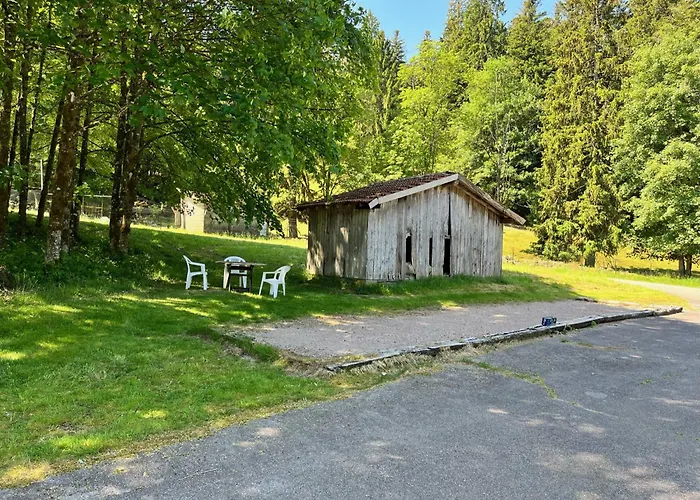 Ferme Des Jonquilles 15p - Billard, Ps4, Salle De Sport Prázdninový dům Gérardmer